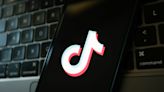 Which countries are banning - or censuring - TikTok?