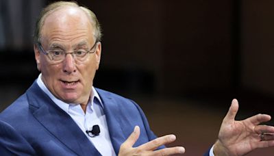 BlackRock's Larry Fink says he's a 'major believer' in bitcoin, is worried about government deficits