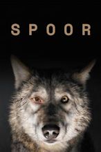 Spoor (film)