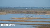 Frampton Marsh nature reserve hosts events for 40th anniversary