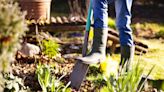 How to Prepare Your Garden Soil for Planting