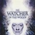 The Watcher in the Woods (1980 film)