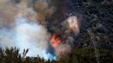California's first large wildfire of the season burns 200 acres, 5% contained