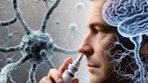 Nasal spray clears proteins linked to Alzheimer's - new study - ET HealthWorld