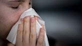 Rising pollen levels pose risk to asthma sufferers, charity warns