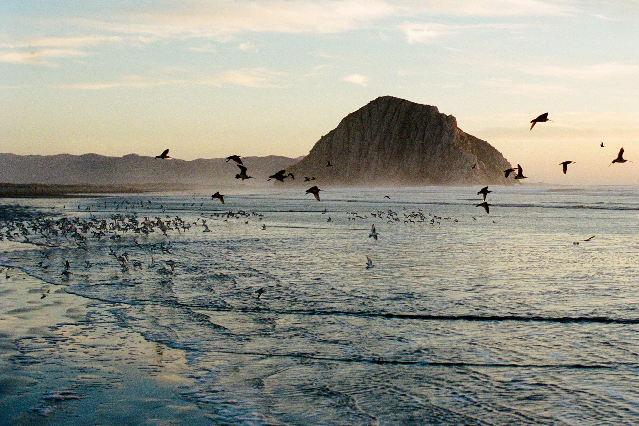 Thousands of gallons of sewage spill into ocean at popular California beach