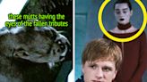25 "The Hunger Games" Book Plotlines And Details People Are Sad We Lost In The Movie Adaptations
