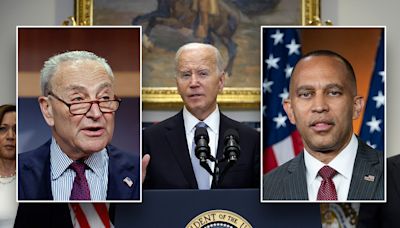 Schumer 'forcefully' told Biden he should drop his re-election bid: report