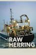 Raw Herring