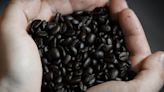 Daily coffee drinkers have better chance at longer life span: report