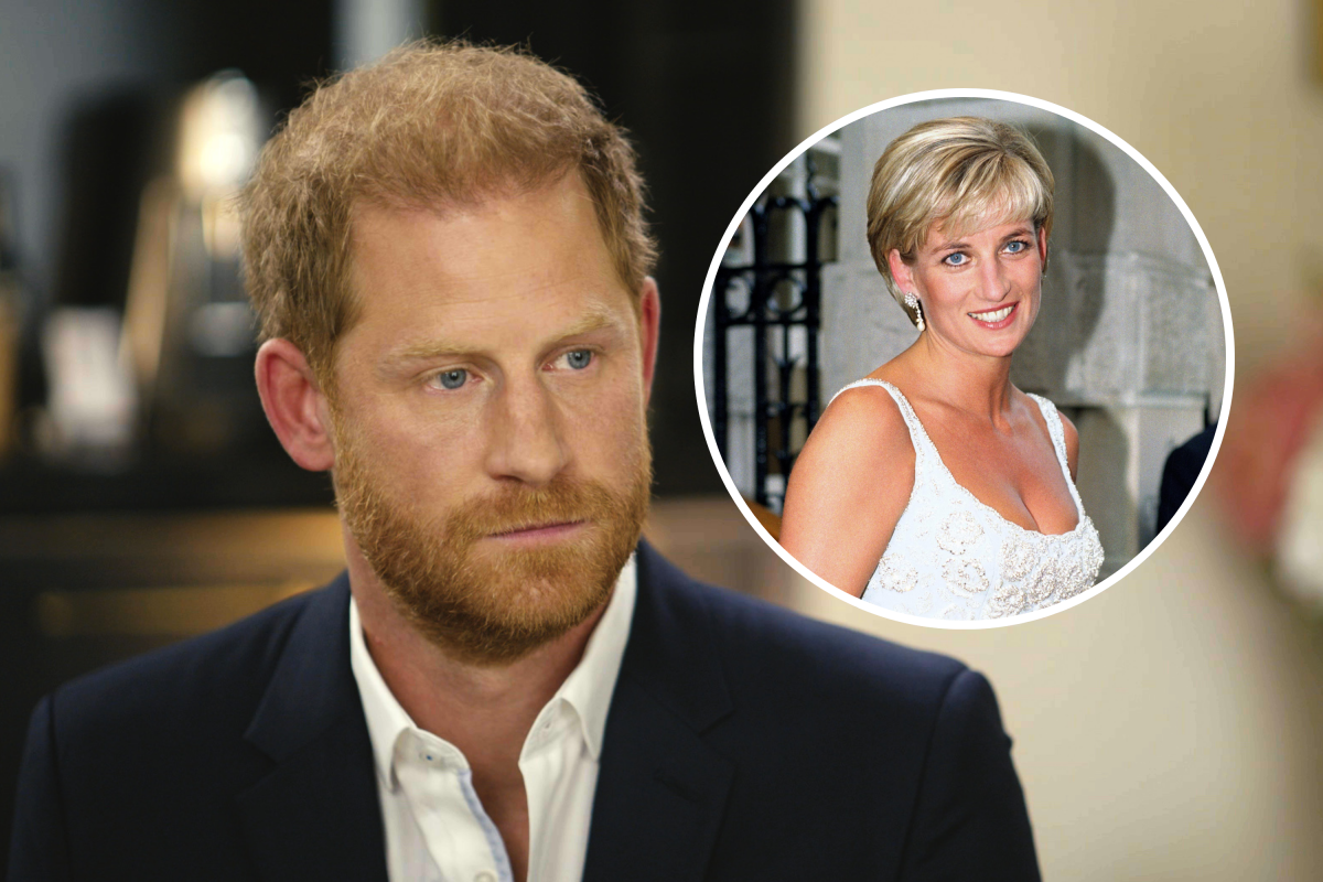 Prince Harry takes swipe at Prince William's view on Diana