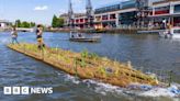 Platforms covered in native plants released in Bristol Harbour