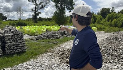 AmeriCorps CEO gets a look at a volunteer-heavy project to rebuild Louisiana's vulnerable coast.