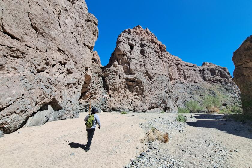 Chuckwalla National Monument would protect swath of California desert and preserve a sacred land