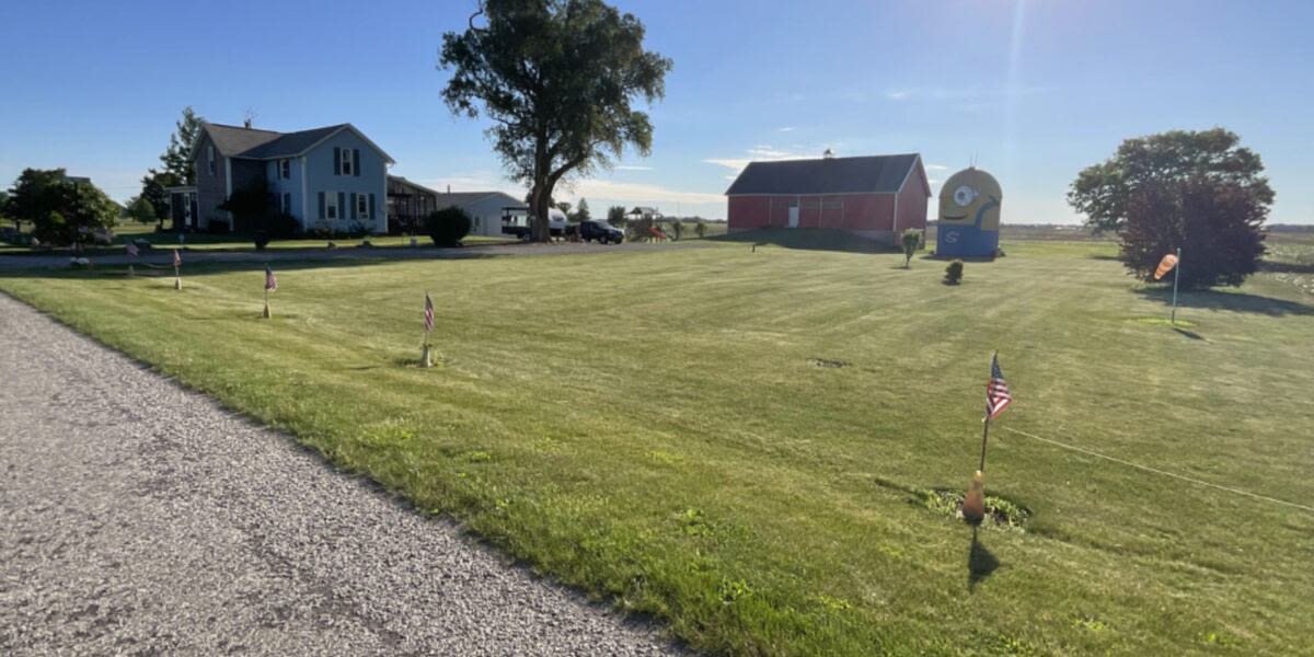 ‘Despicable’: Ossian property with iconic ‘Minion’ silo on sale after being family home for over 40 years