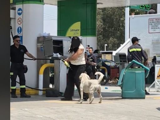 Mujer enloquece en gasolinera de Edomex; amenaza de muerte a trabajadores