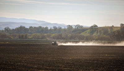 Valley fever sickens attendees of Kern County music festival