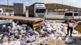 Far-right Israeli settlers step up attacks on aid trucks bound for Gaza