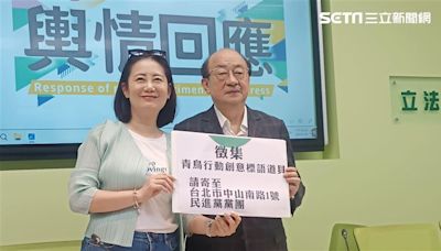 周二恐最後一戰！柯建銘：國會改革藍白版本若三讀通過 一定會提釋憲