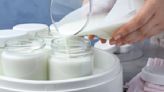 Never Buy Probiotics Again — Use This Simple Process to Make Yogurt At Home and Boost Your Gut Health