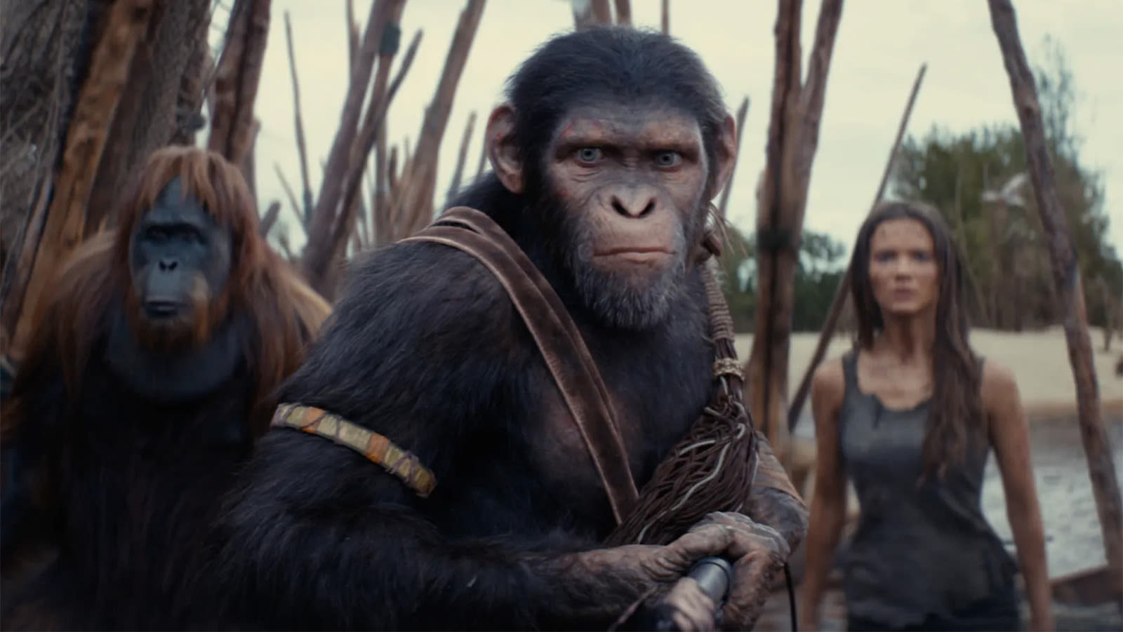 Kingdom Of The Planet Of The Apes Credits Have A Sneaky Hint For The Sequel - SlashFilm