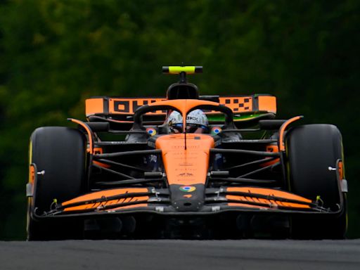 Lando Norris secures fastest time in final practice for Hungarian Grand Prix