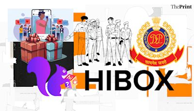 South Asian bosses, influencers & no returns. How Hibox app ‘duped’ investors to tune of Rs 500 cr