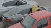 Man caught on camera stealing purse from car in Superlo parking lot