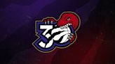 The new Toronto Raptors NBA logo is a roaring success