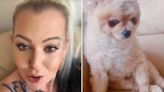 TikTok fan killed man who let her Pomeranian escape, court told
