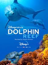 Dolphin Reef (film)