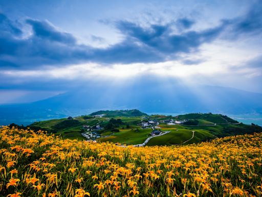 【賞花之旅】花蓮金針花季8/10登場，赤科山、六十石山金黃綻放美景！