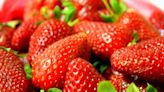 14 of the best pick-your-own strawberry farms in NJ