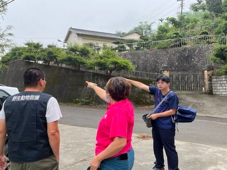 中市潭子區現保育類猛禽黑鳶 農業局籲：勿餵食野生動物 | 蕃新聞