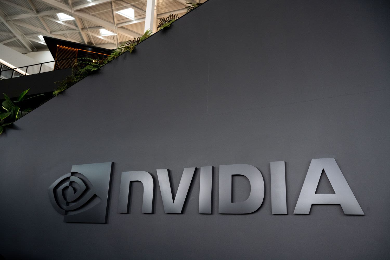 S&P 500 Gains and Losses Today: Nvidia Soars Following Strong Earnings Report