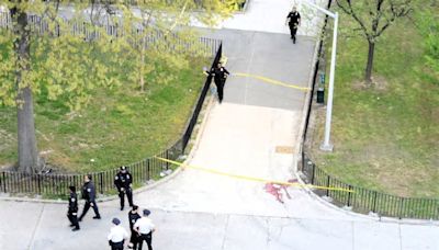 Man shot and killed outside Bronx NYCHA complex after brawl