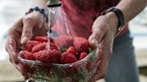 The 1 Thing That'll Wash Pesticides Off Fruits And Vegetables