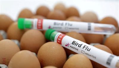 Propagación de gripe aviar en humanos preocupa a la OMS