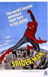 The Amazing Spider-Man (TV series)