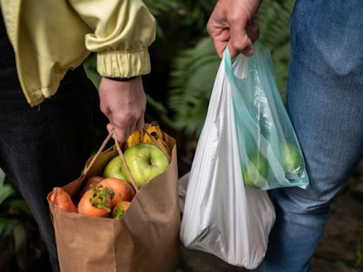 Entra en vigor prohibición de bolsas plásticas y otros plásticos de un solo uso en Colombia