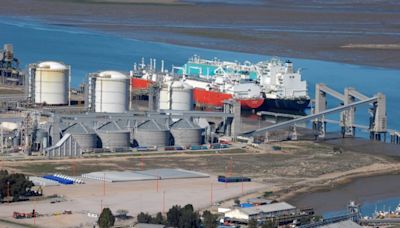 GNL en Bahía Blanca: Petronas no es la única, los US$ 2.000 millones y la urea granulada