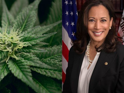 Kamala Harris' U-Turn On Cannabis: Here's Where She Stands On Weed Legalization Now
