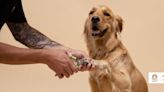 How to safely trim your dog's nails