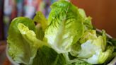 Lettuce stays fresh and crispy for 30 days longer with pro's correct storage tip