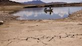 Parched Texas growing season looms as US, Mexico spar over water treaty