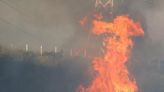 Incendio en Viña del Mar: Chile decreta el estado de emergencia por el fuego incontrolado