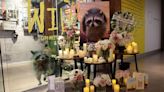 How the death of a raccoon named Conrad once united Toronto — and may bind us still