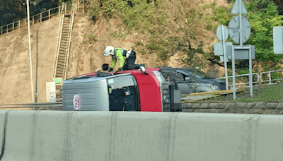 有片｜動物闖獅隧公路橫越3線 的士閃避不及撞壆翻側 司機乘客一度被困