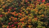 Kentucky is home to 3 of the best drives to see fall foliage in the US, survey says