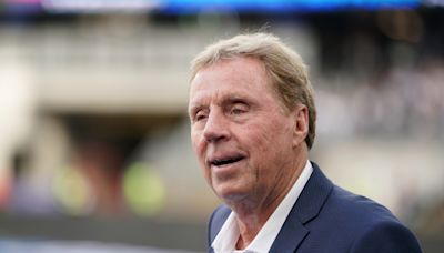 Harry Redknapp says Gareth Southgate didn't deserve Euros beer cup incident